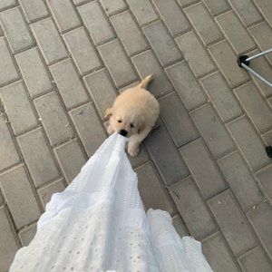 Meet your Posher, Lorina